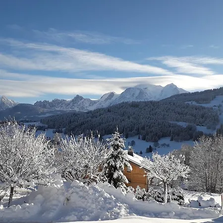 Eternel Mont-blanc Шале *