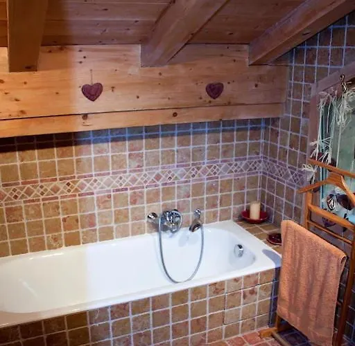 Eternel Mont-blanc מגב