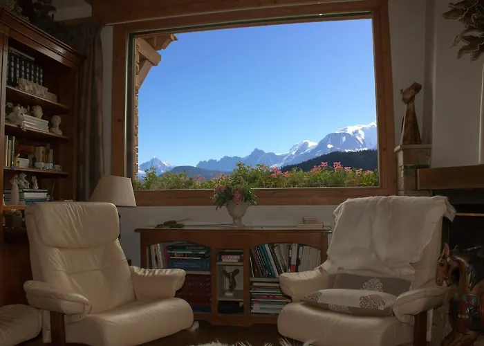 Eternel Mont-blanc מגב