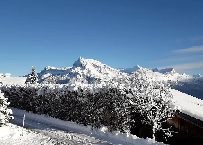 בקתה Eternel Mont-blanc